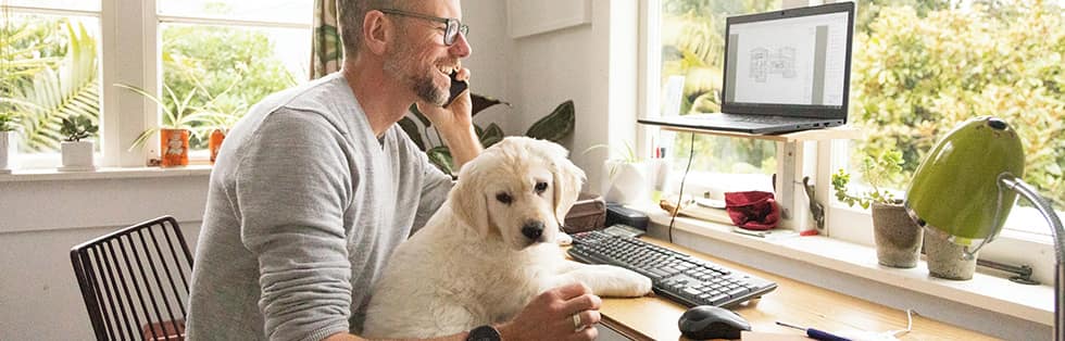 A man sit at a computer with a dog learning about how to protect his Social Security number.