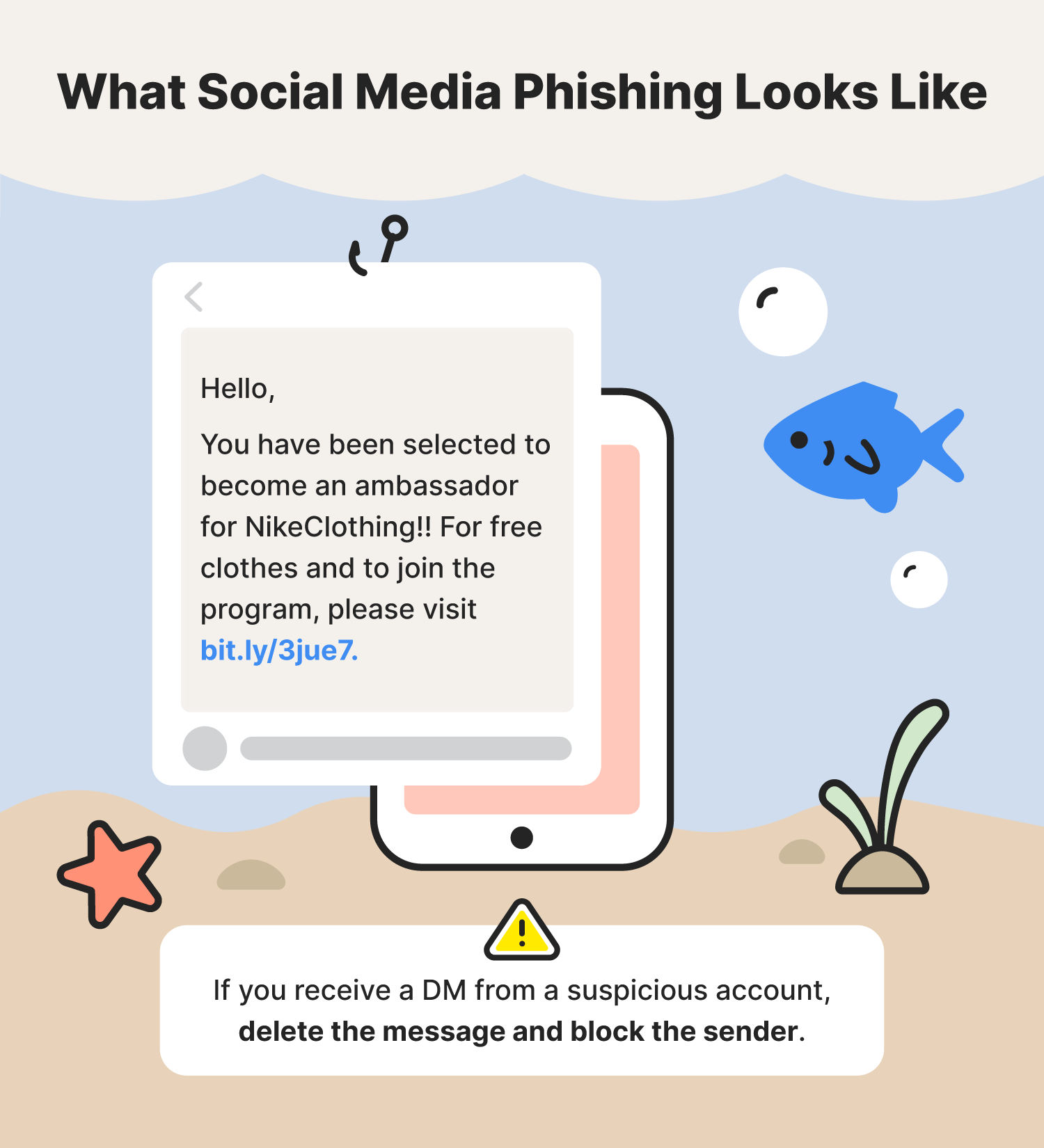 A graphic shows an example of social media phishing, one of the common types of phishing attacks.
